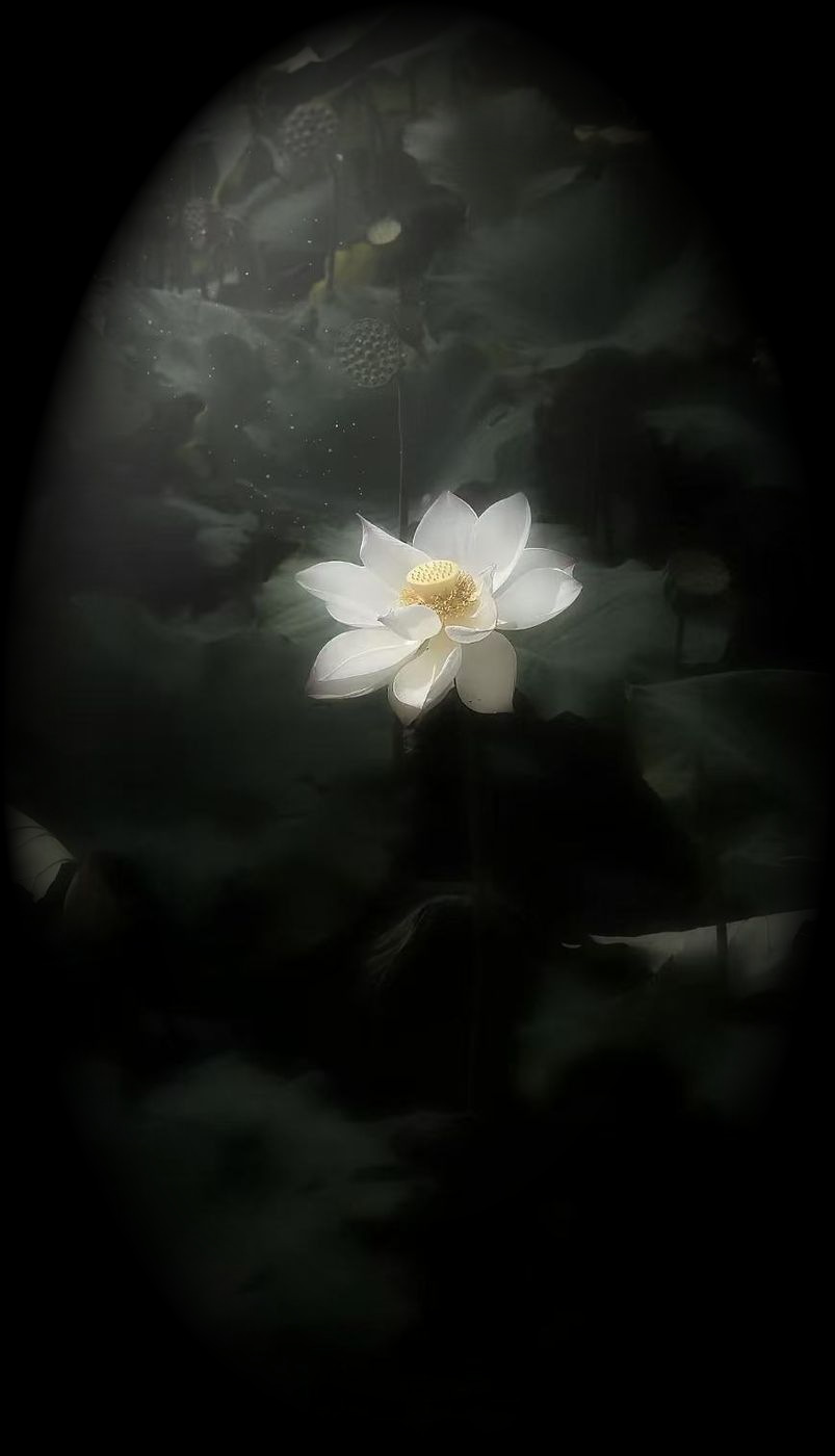 Sandalwood beads and a white lotus resting on a dark surface